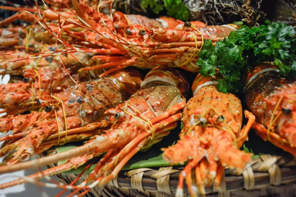 Buffet Experience at Novotel | Nha Trang